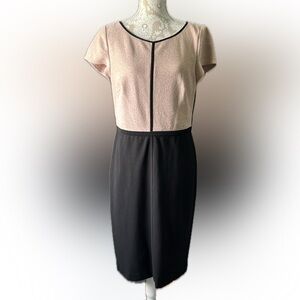 Ann Taylor Petite Business or cocktail dress.